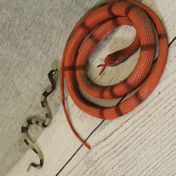 BugsT 3D Lizard Tee, Book, Toy - Picture 6 of 16